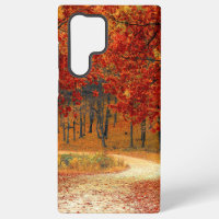 Herbst im Wald