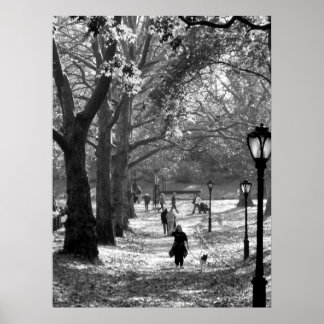 Herbst im Zentralpark 06 25 Poster