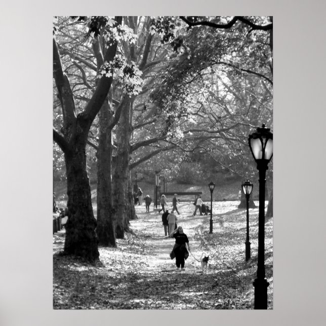Herbst im Zentralpark 06 25 Poster (Vorne)