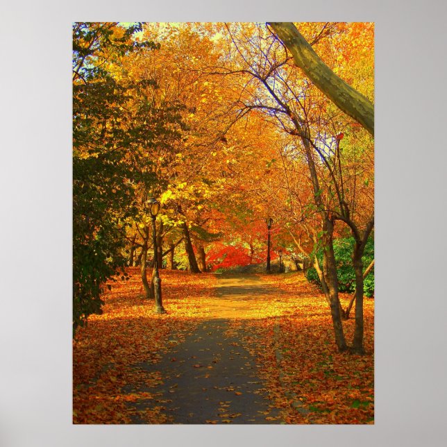 Herbst im Zentralpark 06 27 Poster (Vorne)