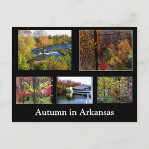 Herbst in Arkansas Fotokarte Postkarte