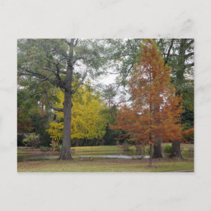 Herbst in Birmingham, Alabama Postkarte
