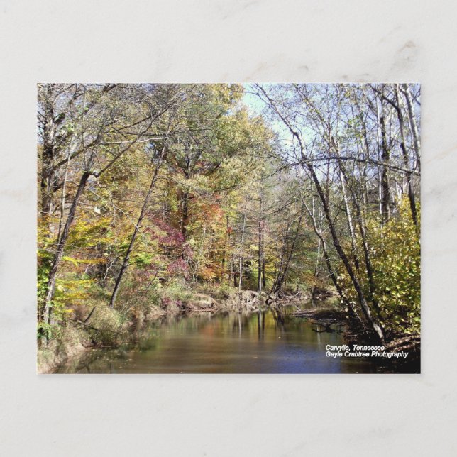 Herbst in Caryville, Tennessee Postkarte (Vorderseite)