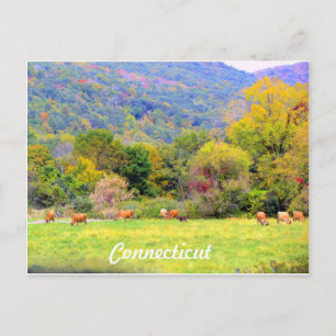 Herbst in CT Postkarte