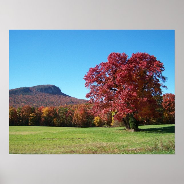 Herbst in Danbury Poster (Vorne)