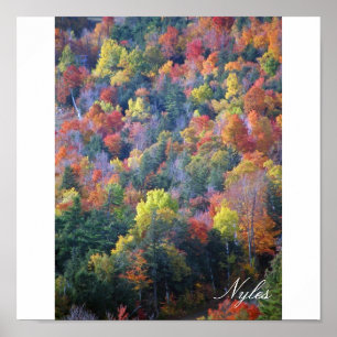 Herbst in den Adirondacks Poster