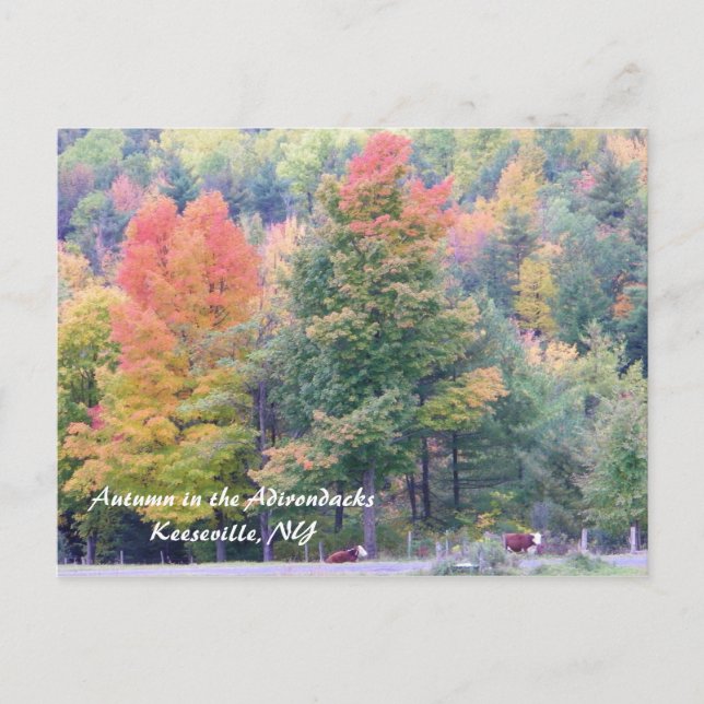 Herbst in den Adirondacks Postkarte (Vorderseite)