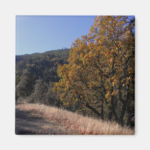 Herbst in den Bergen.... Magnet