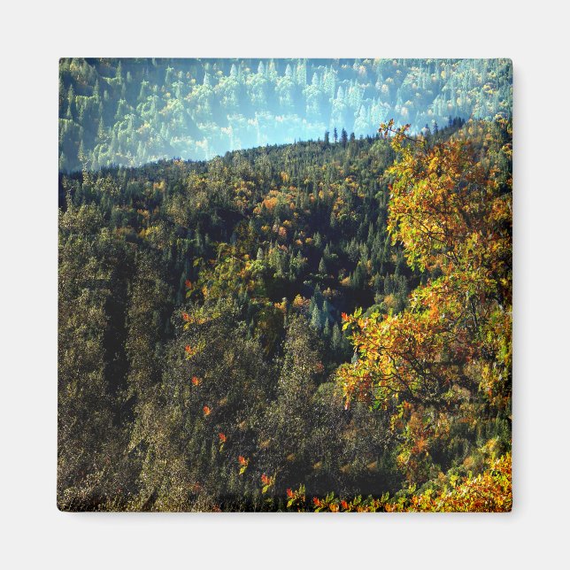 Herbst in den Bergen.... Magnet (Vorne)