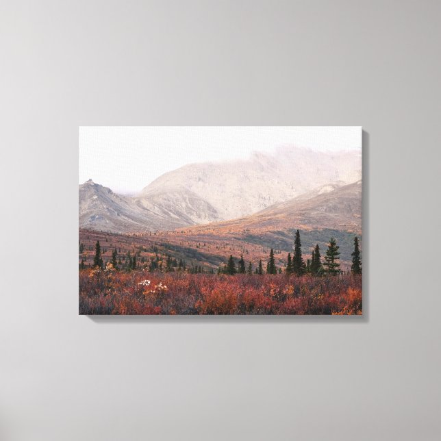 Herbst in Denali Leinwanddruck (Vorderseite)