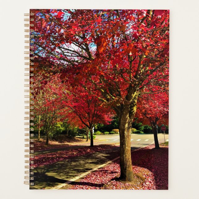 Herbst in der Nachbarschaft, Oregon Planer (Vorderseite)