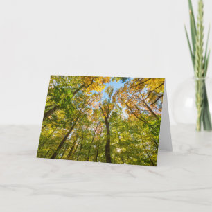 Herbst in einem Wald in Amesbury, Massachusetts Karte
