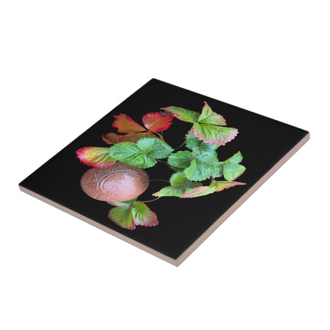 Herbst in Erdbeeren Jahreszeit Garten Foto Fliese (Seite)