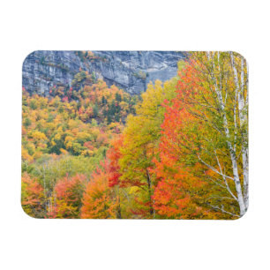 Herbst in Grafton Notch Staat Park, Maine Magnet