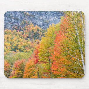Herbst in Grafton Notch Staat Park, Maine Mousepad