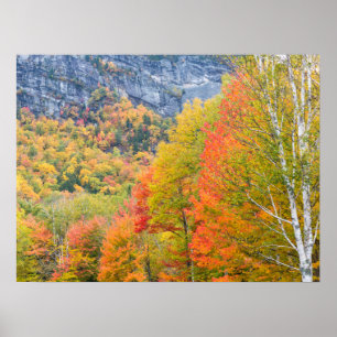 Herbst in Grafton Notch Staat Park, Maine Poster
