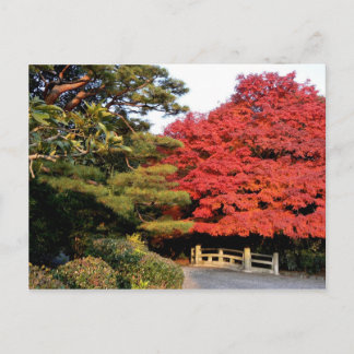 Herbst in Japan Postkarte