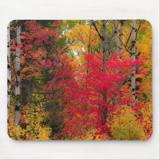 Herbst in Kanada. Mousepad