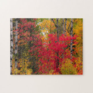 Herbst in Kanada. Puzzle