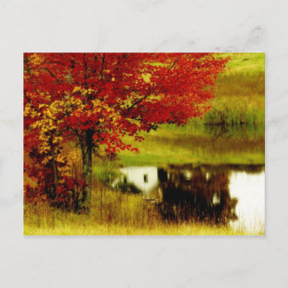 Herbst in Kentucky Postkarte