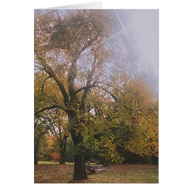 Herbst in Melbourne (Vorne)