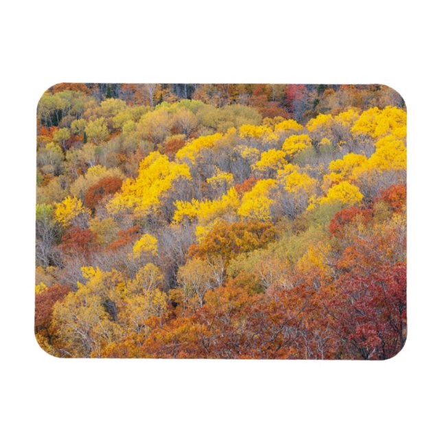 Herbst in Michigan Magnet (Horizontal)
