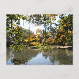 Herbst in Montreal Postkarte