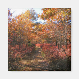 Herbst in Neu-England 32 ~ Magneten Magnet