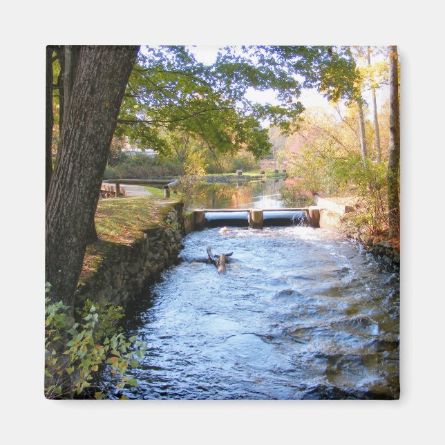 Herbst in Neuengland 47 ~ Magnet (Vorne)