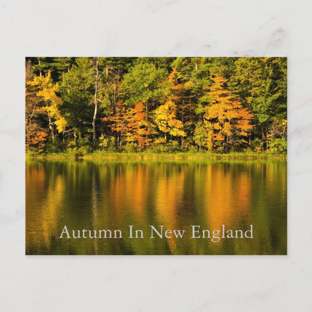 Herbst in New England Postkarte (Vorderseite)