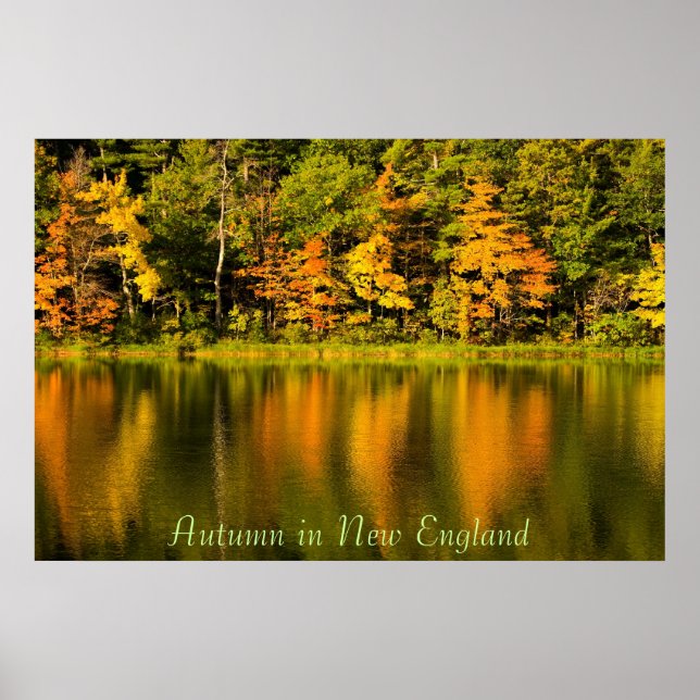 Herbst in New England Print Poster (Vorne)