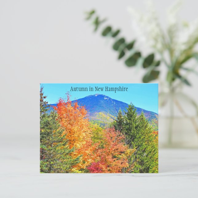 Herbst in New Hampshire Postkarte (Stehend Vorderseite)