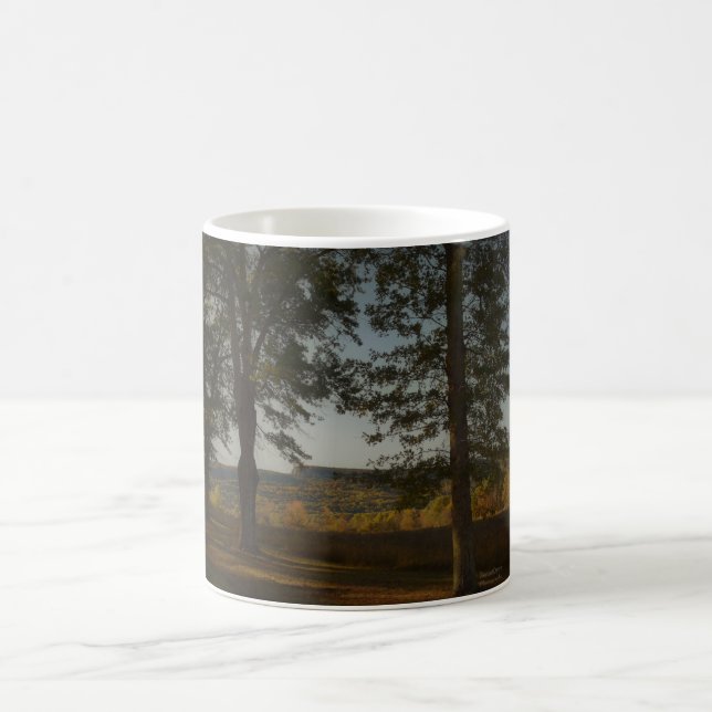 Herbst in New Paltz NY Kaffeetasse (Mittel)