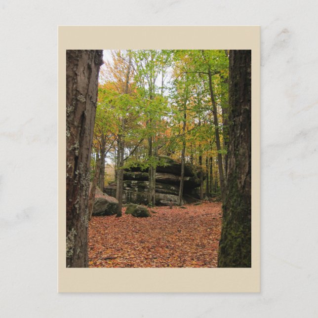 Herbst in New York - 1 Postkarte (Vorderseite)