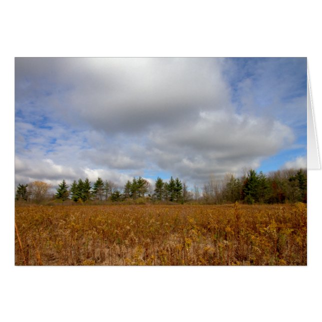 Herbst in Ohio (Vorderseite (Horizontal))