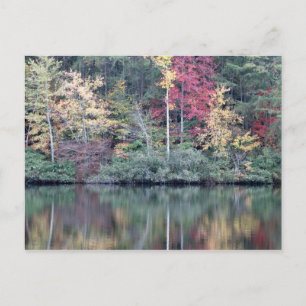 Herbst in Oneida, TN Postkarte