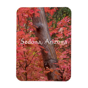 Herbst in Pink in Sedona, Arizona Magnet