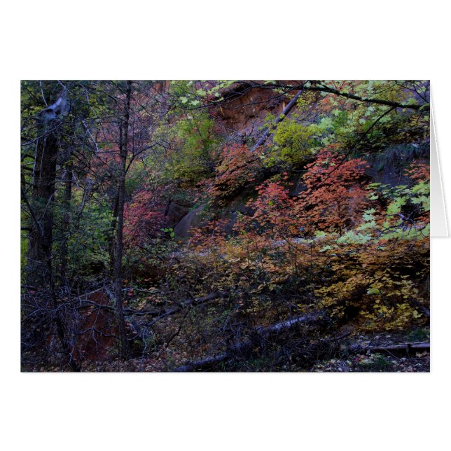 Herbst in Sedona (Vorderseite (Horizontal))