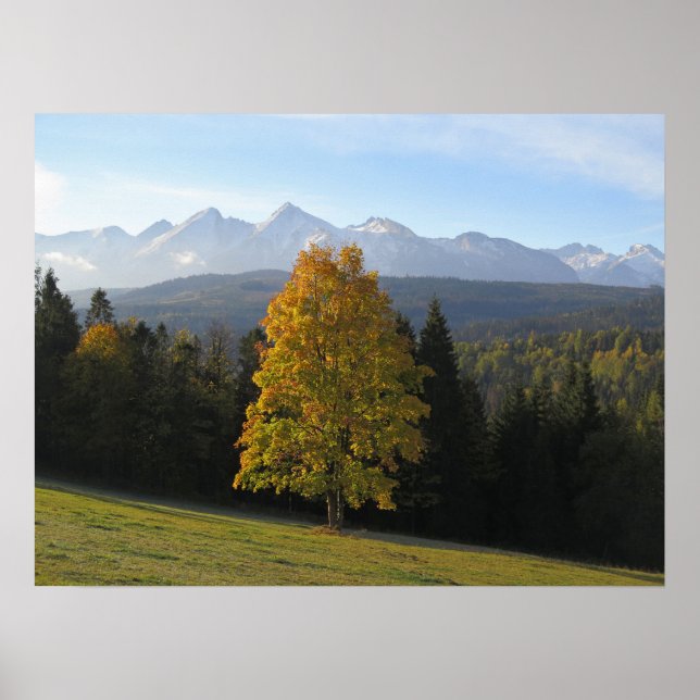 Herbst in Tatra Poster (Vorne)