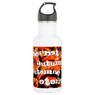 Herbst in Wald Trinkflasche