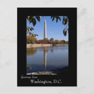 Herbst in Washington DC Postkarte