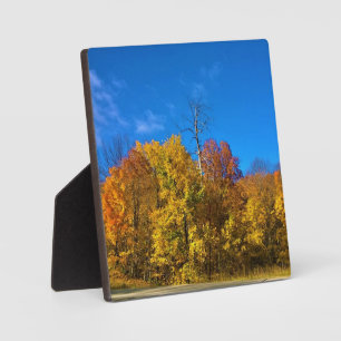 Herbst in Westbend, Wisconsin Fotoplatte
