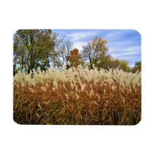 Herbst in Wisconsin Magnet