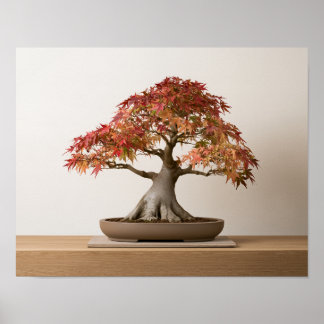 Herbst-Japanischer-Ahorn-Bonsai-Kunstprint | Wandk Poster