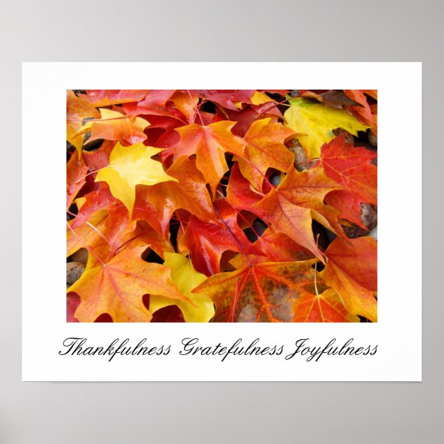 Herbst Kunst druckt Dankbarkeit Freude Poster (Vorne)