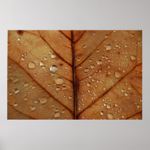 Herbst Kunstdruck Poster