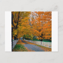 Herbst Landschaftlich Backroad New Hampshire Postkarte
