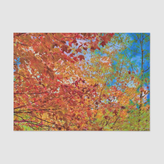 Herbst lässt farbenfrohe Orange Fall Themed Blue S Seidenpapier (Vorderseite)