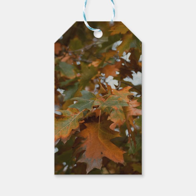 Herbst lässt Geschenkmarken Geschenkanhänger (Vorderseite)