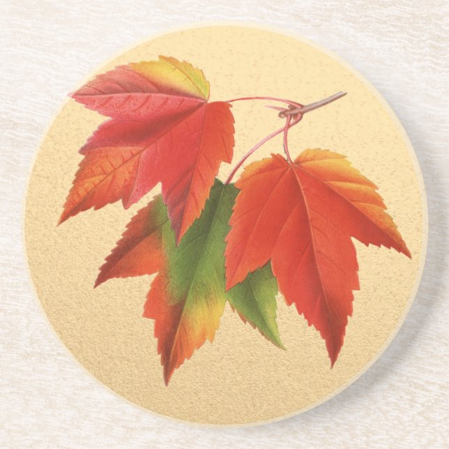 Herbst lässt Herbstfarben Ahornleaf auf Gold Sandstein Untersetzer (Vorne)